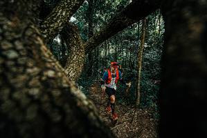 BIB: 
                            <button type="button" onclick="openModal(25666833)" class="btn btn-primary btn-sm float-right btn-popup" data-toggle="modal" data-target=".modal-high-quality">
                        <i class="fas fa-shopping-cart"></i> Add to Cart
                    </button>
                                            <button type="button" onclick="isThisMe(25666833, true)" class="btn btn-success btn-sm float-right btn-popup btn-isme hidden" data-toggle="tooltip" data-placement="bottom" title="นี่คือรูปของคุณใช่ไหม คลิกที่นี่เพื่อเอาเข้าอัลบั้ม">
                        <i class="fas fa-plus"></i> Add to album
                    </button>
                    <button type="button" onclick="isThisMe(25666833, false)" class="btn btn-warning btn-sm float-right btn-popup btn-isnotme hidden">
                        <i class="fas fa-ban"></i> Remove from album
                    </button>